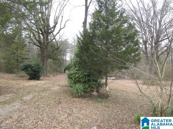 253 Old County Road 109 #0, Anniston, AL 36201