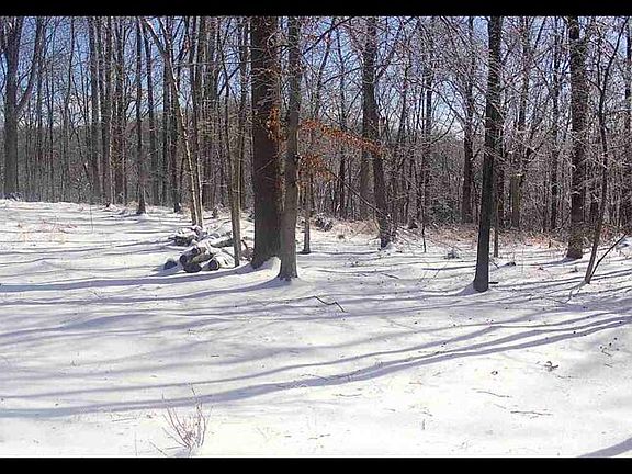 3rd image of 0 Plank Rd