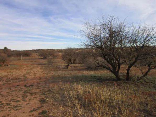 515 S Ole Paint Way, Cornville, AZ 86325