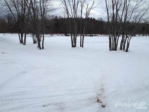 GREEN SPACE with CAMPING TRAILER FACILITIES