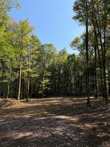Lot 2 Evergreen Lane, Narrowsburg, NY, 12764