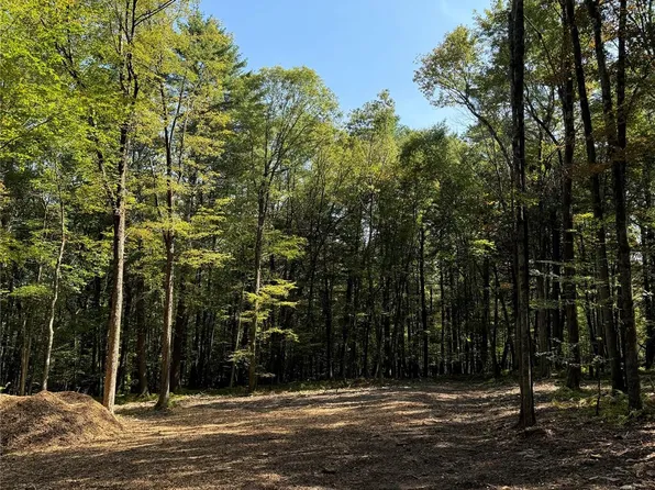 Lot 2 Evergreen Lane, Narrowsburg, NY 12764