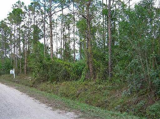 2nd image of C-131W N 154th Rd Ct