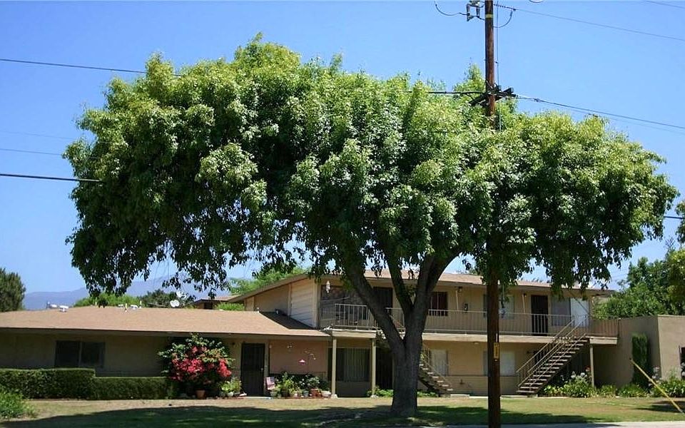 1st image of 502 N Towne Ave APT 5