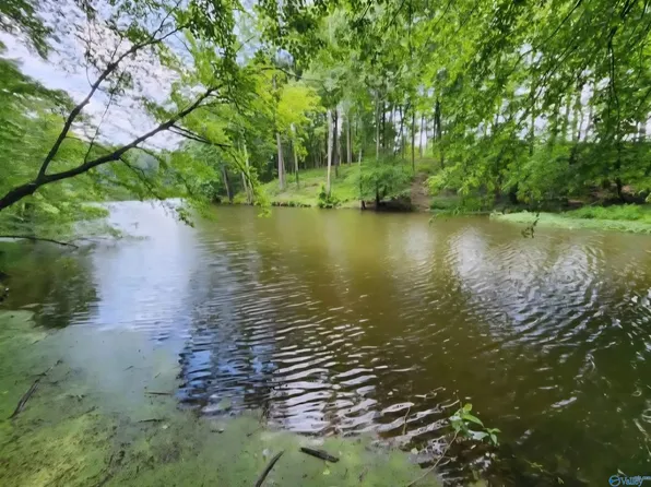 827 County Road 949, Crane Hill, AL 35053