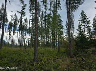 Nna Westside Rd PARCEL 12, Bonners Ferry, ID 83805