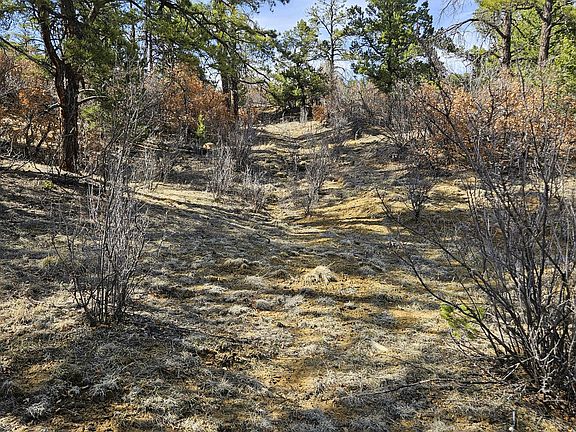 5th image of 336 Rancho La Garita Filing #10