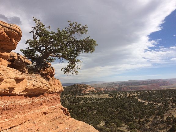 Climb to the top for a view