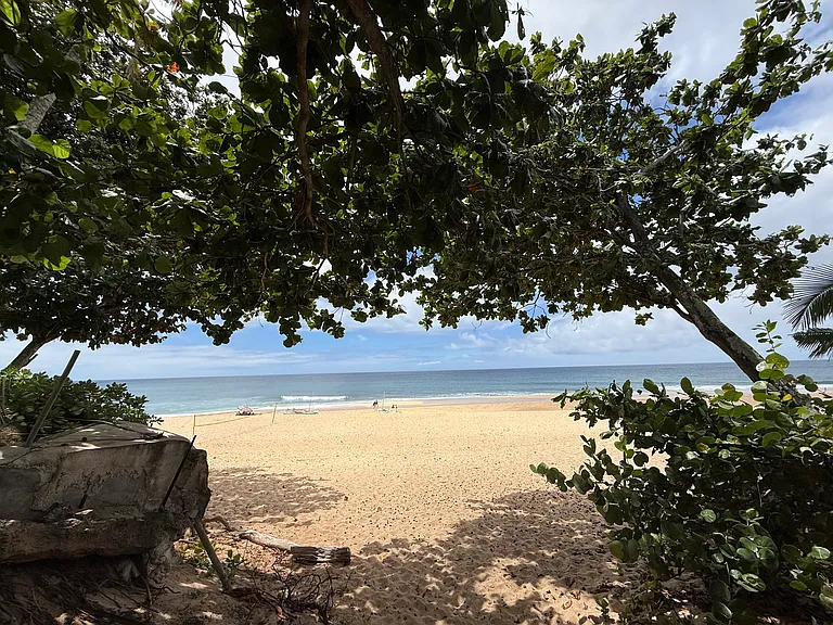 59-238 Kamehameha Hwy — Photo 12