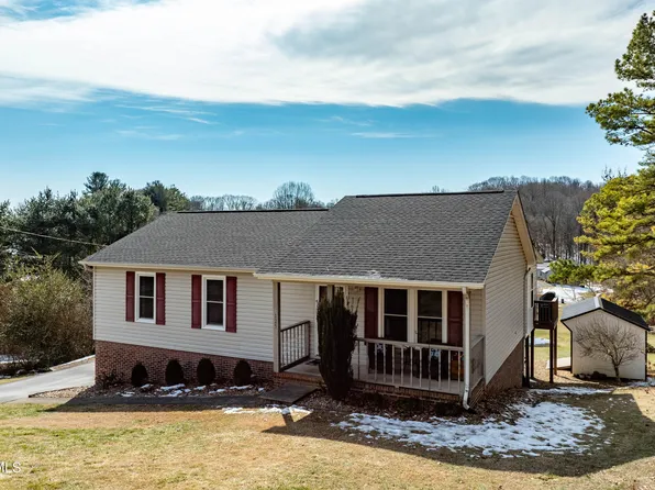 125 Rosebud Ln, Gray, TN 37615