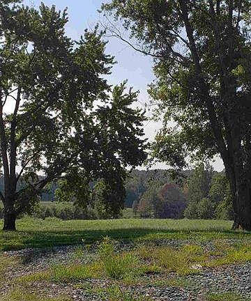 View from old homesite