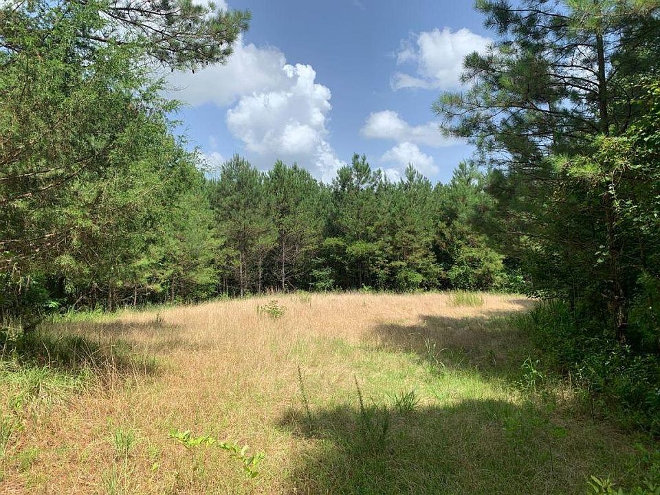 Small Food Plot Near North Line