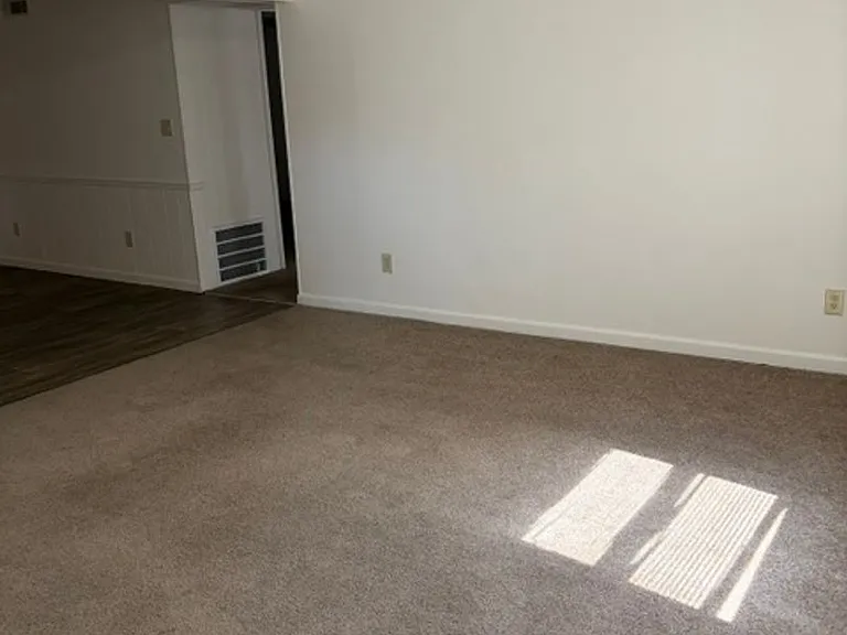 2813 Whitener St — Photo 3