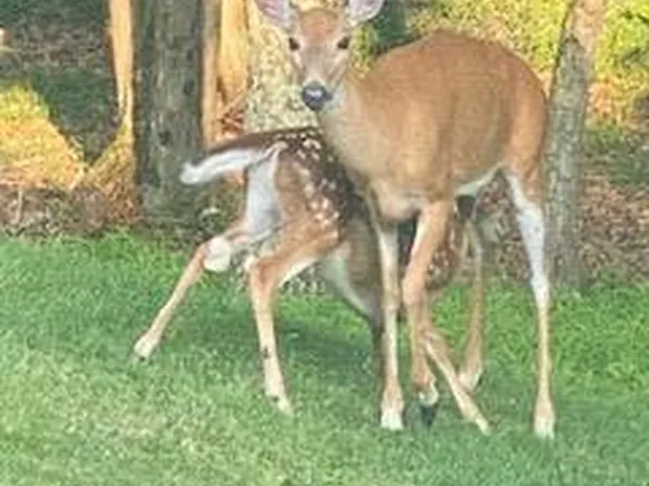 LOT 14 Pocono Mountain Lake Dr, Bushkill, PA 18324