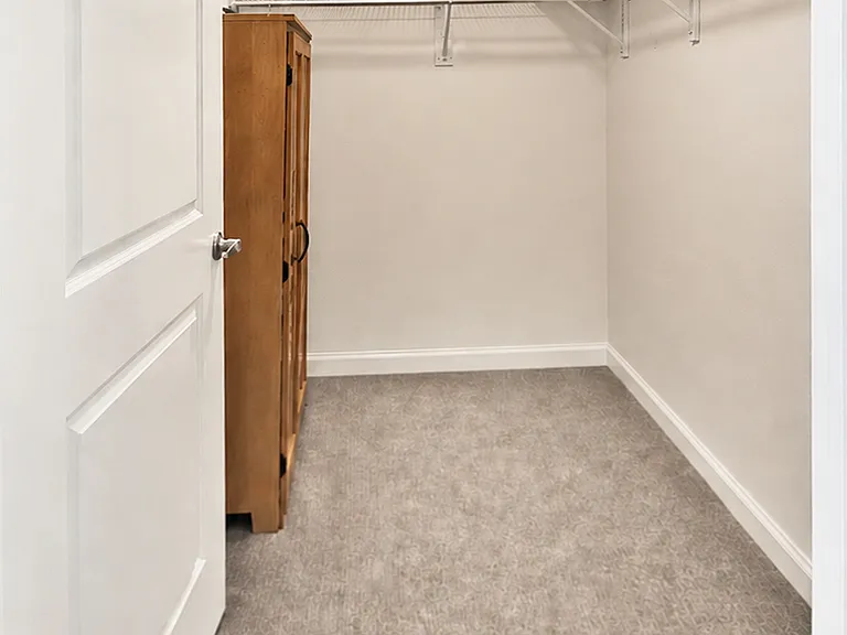 Basement Bedroom 3 Walk-In Closet