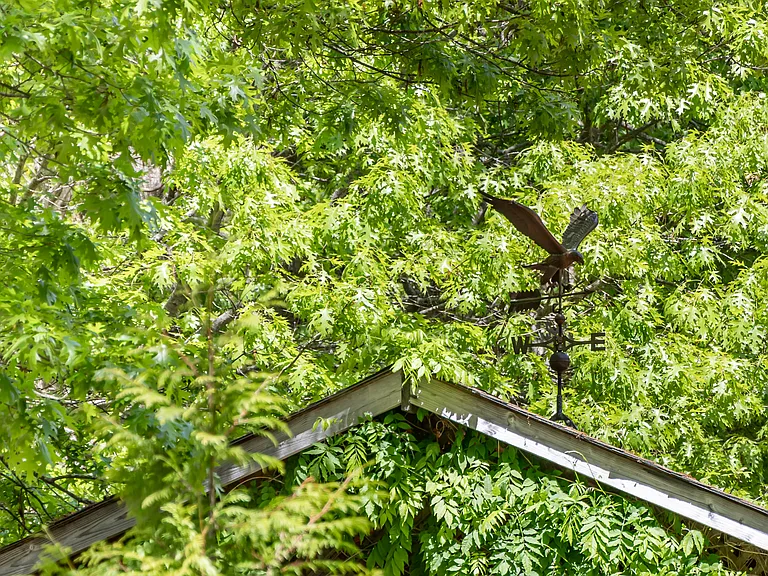 39 Wooded Oak Ln — Photo 36