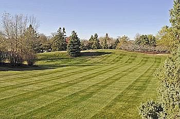 2nd image of 9811 Wedgewood Cir