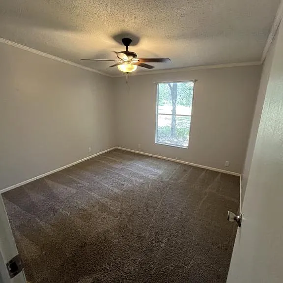 1054 County Road 257 — Photo 2