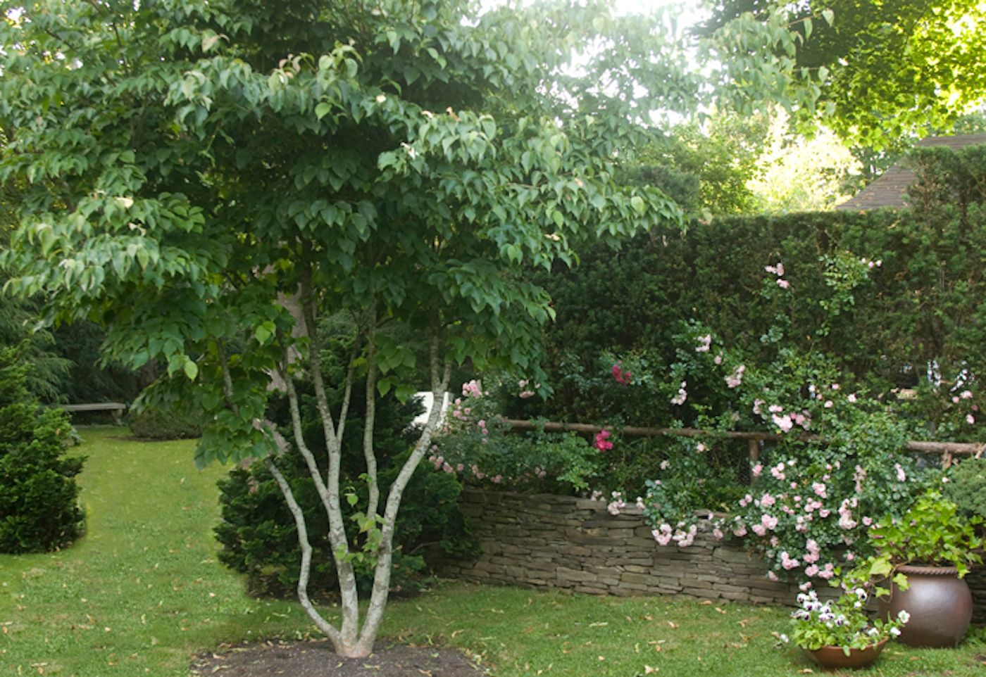  Gardens