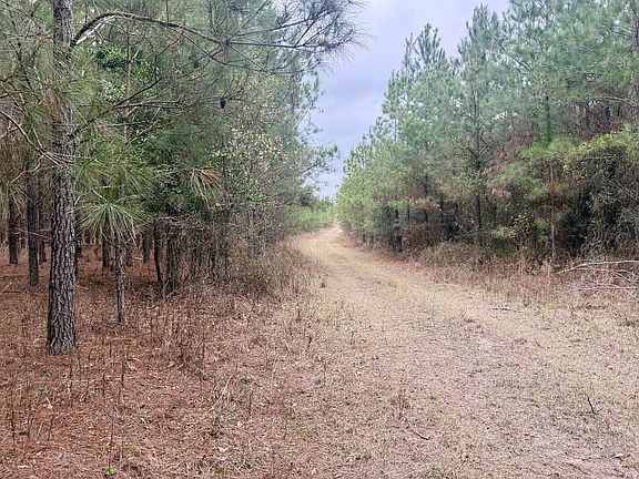 4th image of Tbd Ne Duval Pond Rd