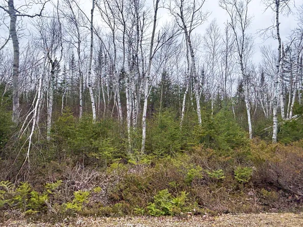 Wilderness Dr, Presque Isle, MI 49777