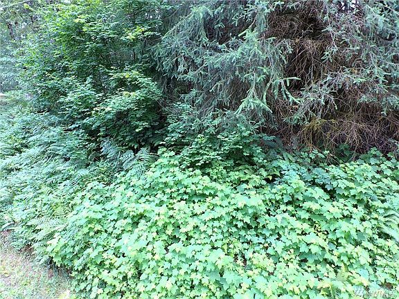 5th image of 491 W Arrowhead Dr