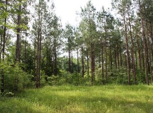 6 Highway 27 S, Jayess, MS 39641