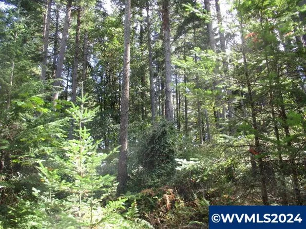 1000 Bellinger Scale Rd, Lebanon, OR 97355