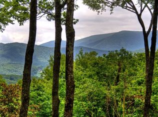 628 Little Bushy Head Rd, Blue Ridge, GA 30513