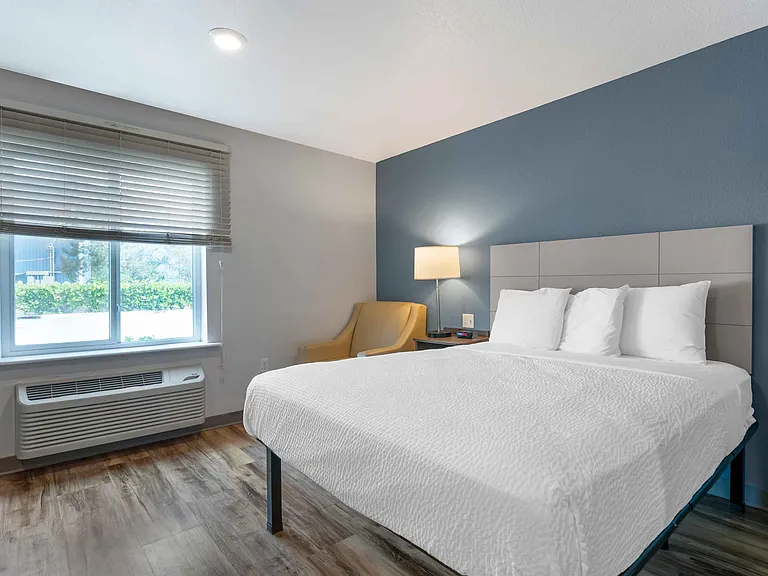 Studio Suite - 1 Queen Bed