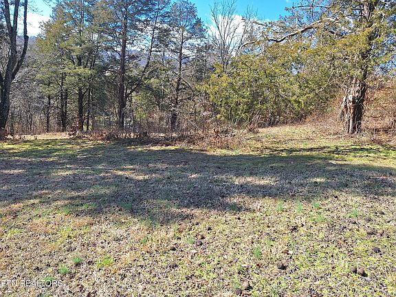 3rd image of 383 Wild Turkey Ln