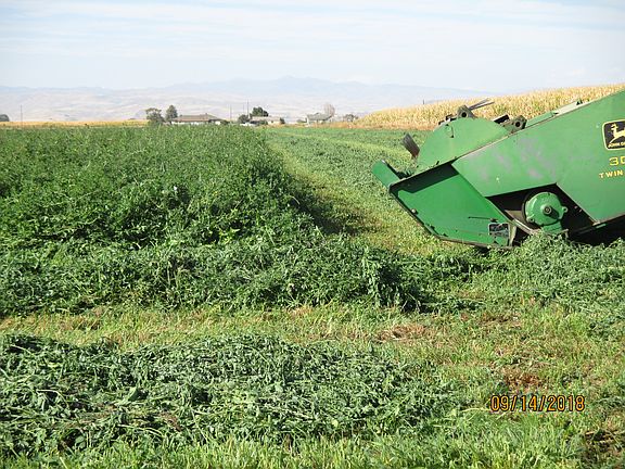 4 th cutting 09-14-18