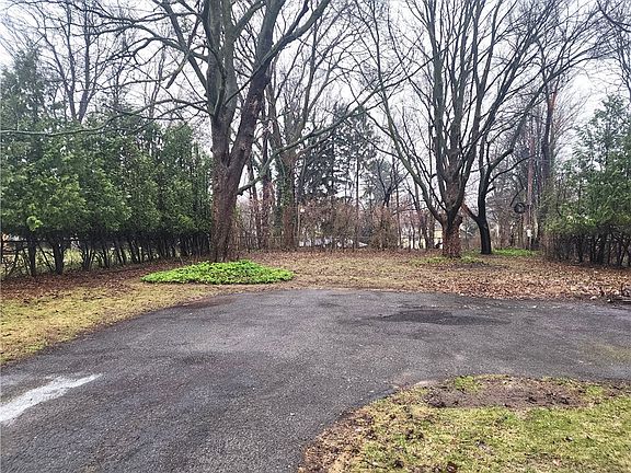 4th image of 167 Elmtree Rd