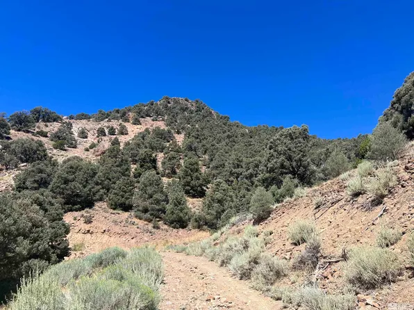 257S/258 S Ranches Ctr, Virginia City, NV 89440