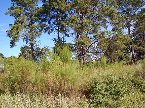 Located on 0106 in Summerlake Groves - Single Family in Winter Garden, FL