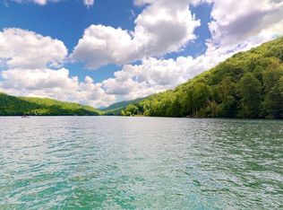 229 Walnut Tree Ln, Aquone, NC 28781