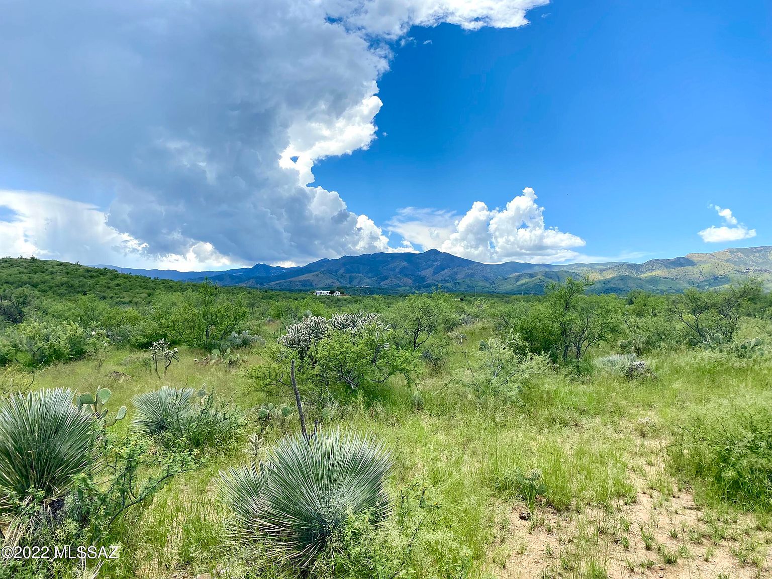 0 Goldbug East Rd, Oracle, AZ 85623 MLS 22326559 Zillow