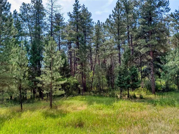 5028 Crow Drive LOT 2, Larkspur, CO 80118