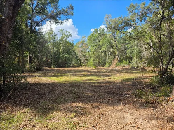 NE 111th Ave Lot 38, Archer, FL 32618