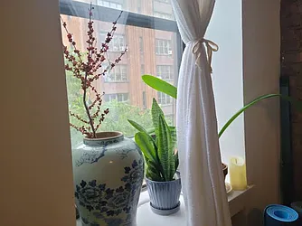 Rented by Chartwell Manhattan Realty