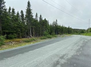 45 Robins Pond Hill Rd, Torbay, NL A1K1K1