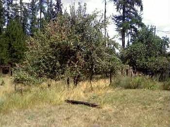 2nd image of 176 Garden Rd