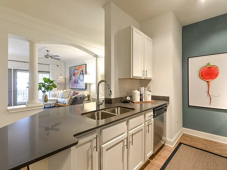 Eat-in Kitchen with Gooseneck Faucet