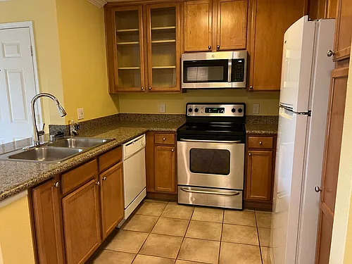 1023 Vista Del Cerro Dr #203 Photo 1