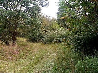 2nd image of 59751 Wilbur Hill Rd