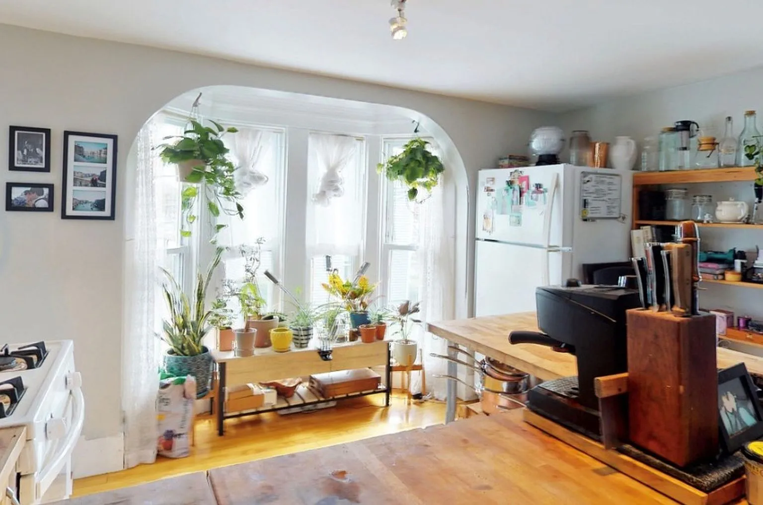 11 Russell Street — Photo 3