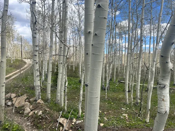 5156 N Pebble Dr, Midway, UT 84049