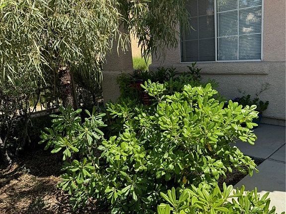 3rd image of 10601 Coal Canyon Ave