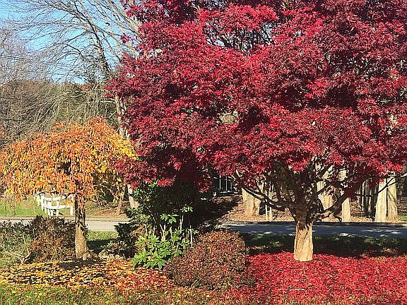Fall