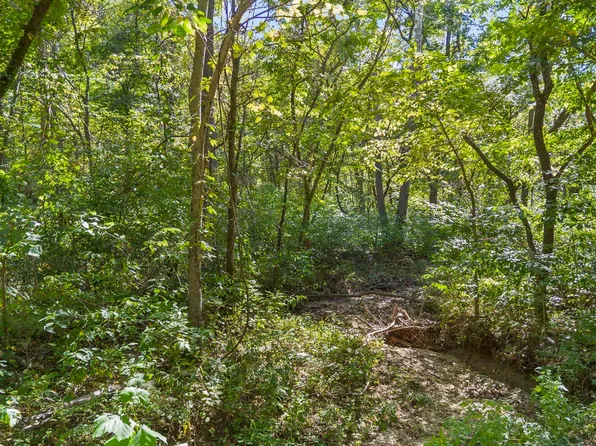 2720 SW Monegaw, Roscoe, MO 64781